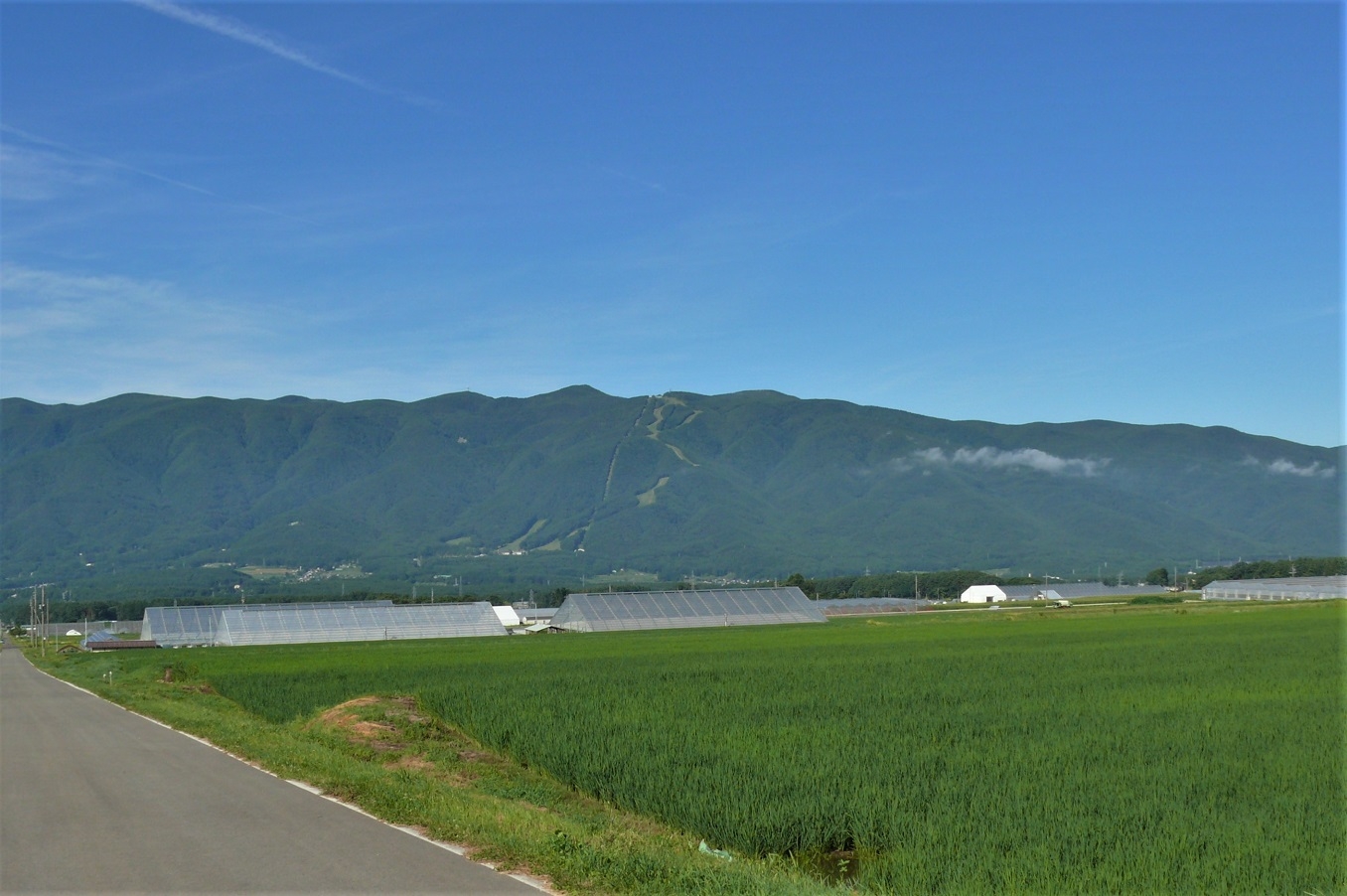 http://www.alpico.co.jp/shikinomori/news/images/P1230924.JPG