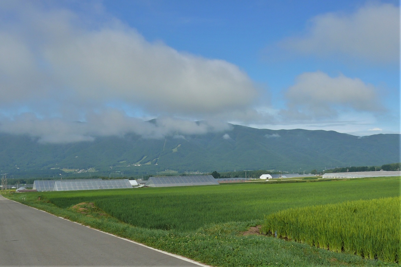 http://www.alpico.co.jp/shikinomori/news/images/P1240054.JPG