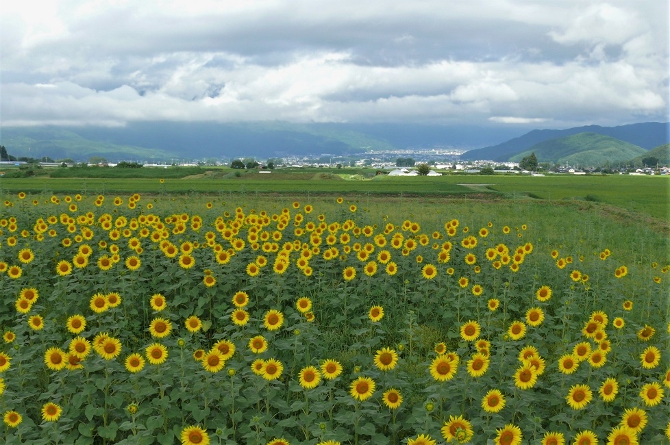http://www.alpico.co.jp/shikinomori/news/images/P1240117.JPG