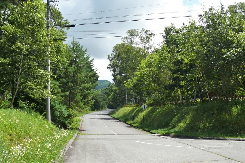 http://www.alpico.co.jp/shikinomori/news/images/P1240135.JPG