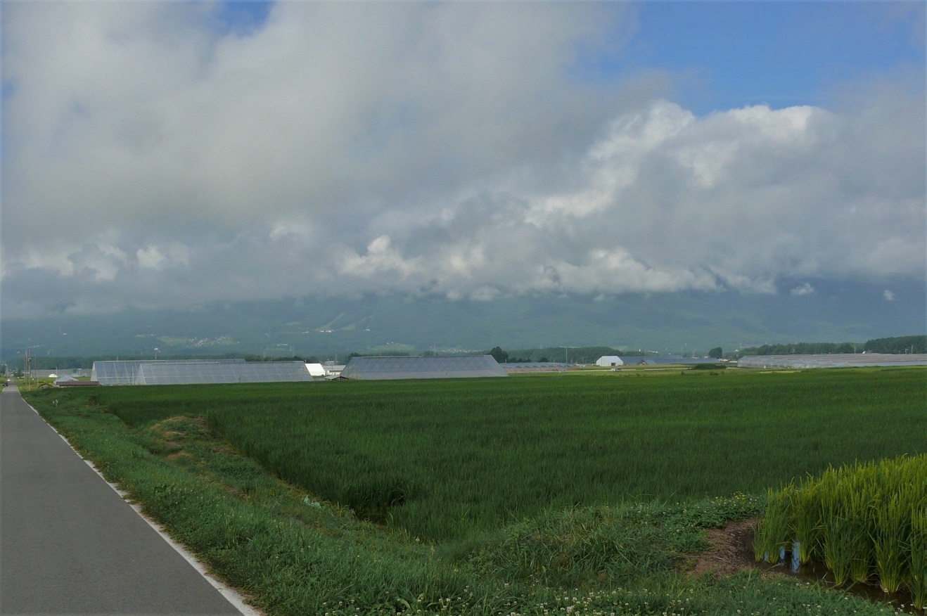 http://www.alpico.co.jp/shikinomori/news/images/P1240165.JPG