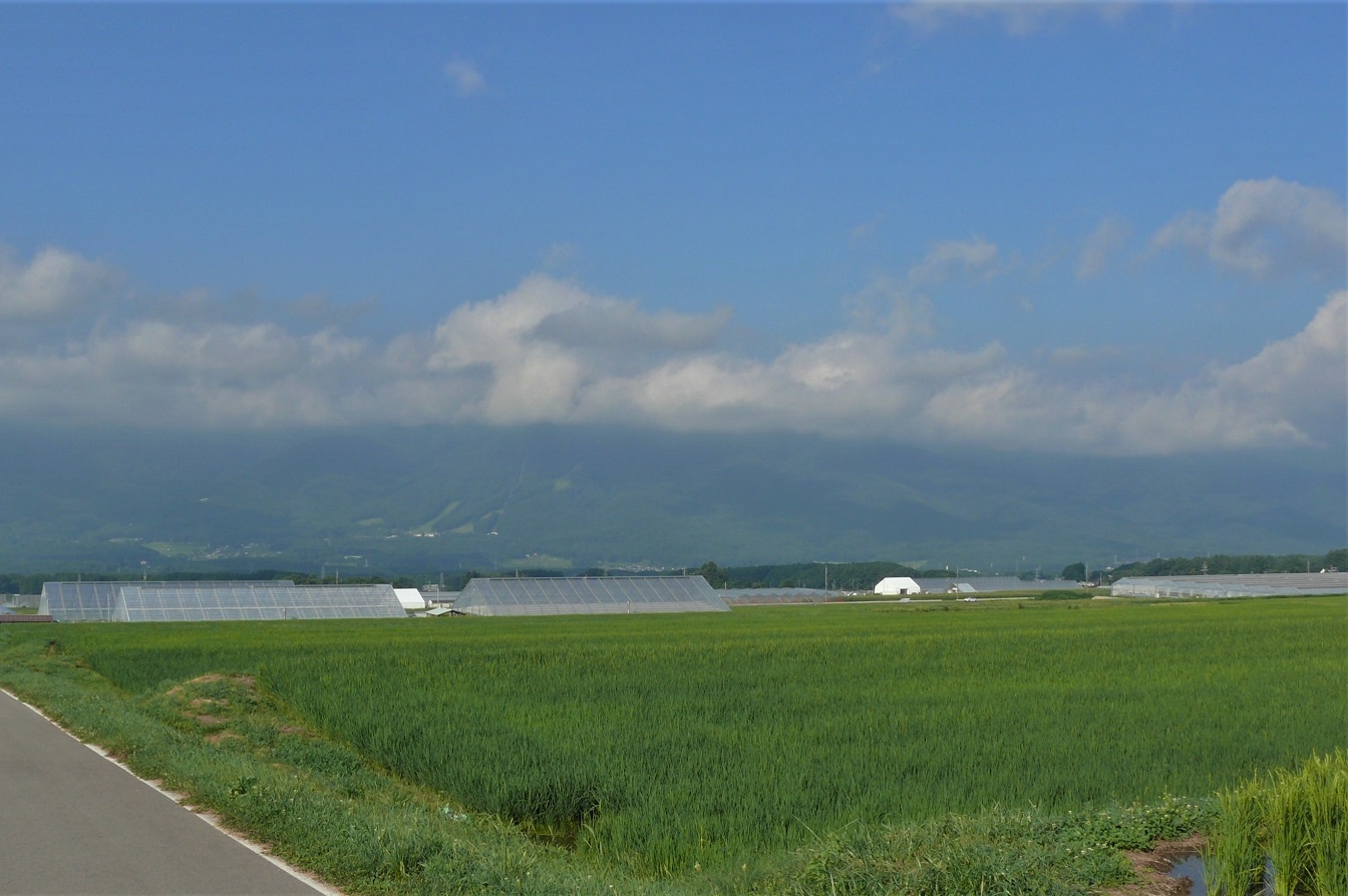 http://www.alpico.co.jp/shikinomori/news/images/P1240216.JPG
