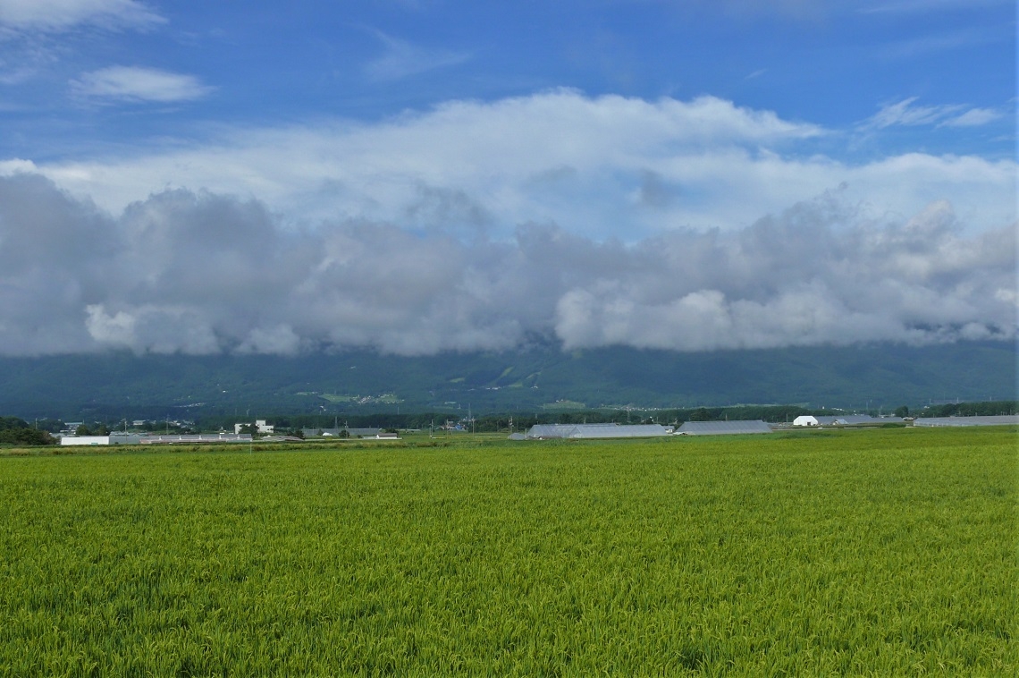 http://www.alpico.co.jp/shikinomori/news/images/P1240241.JPG