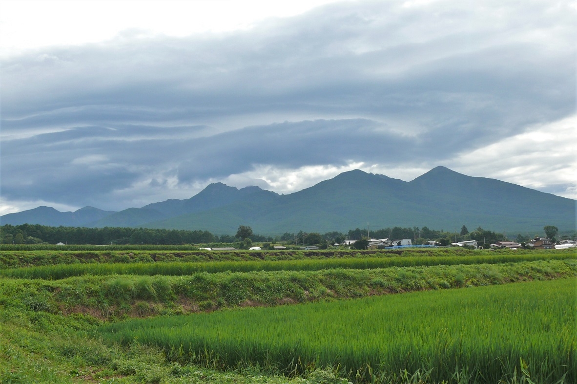 http://www.alpico.co.jp/shikinomori/news/images/P1240336.JPG