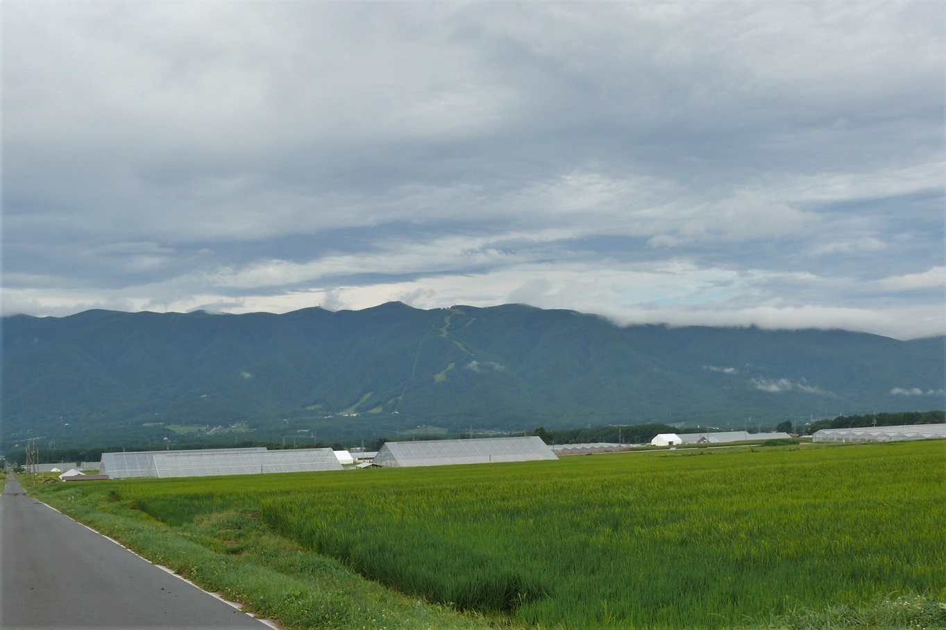 http://www.alpico.co.jp/shikinomori/news/images/P1240338.JPG