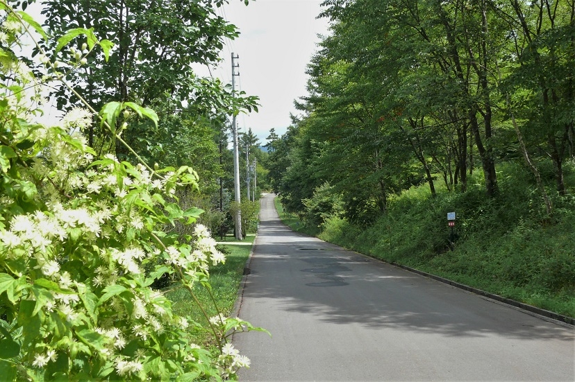 http://www.alpico.co.jp/shikinomori/news/images/P1240367.JPG