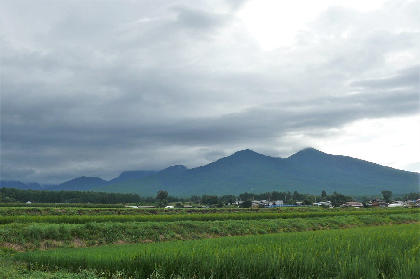 http://www.alpico.co.jp/shikinomori/news/images/P1240387.JPG