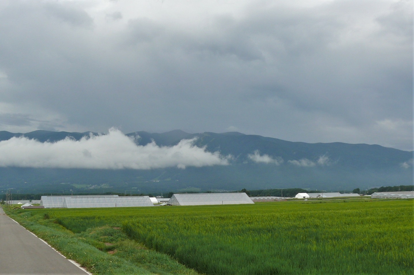 http://www.alpico.co.jp/shikinomori/news/images/P1240388.JPG