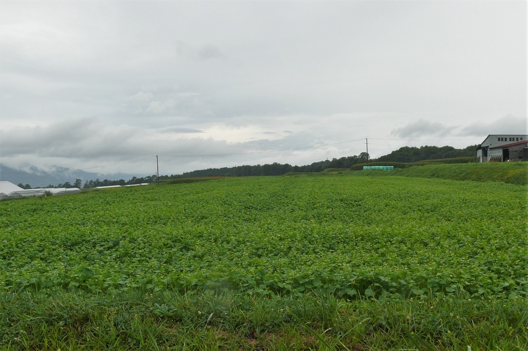 http://www.alpico.co.jp/shikinomori/news/images/P1240412.JPG