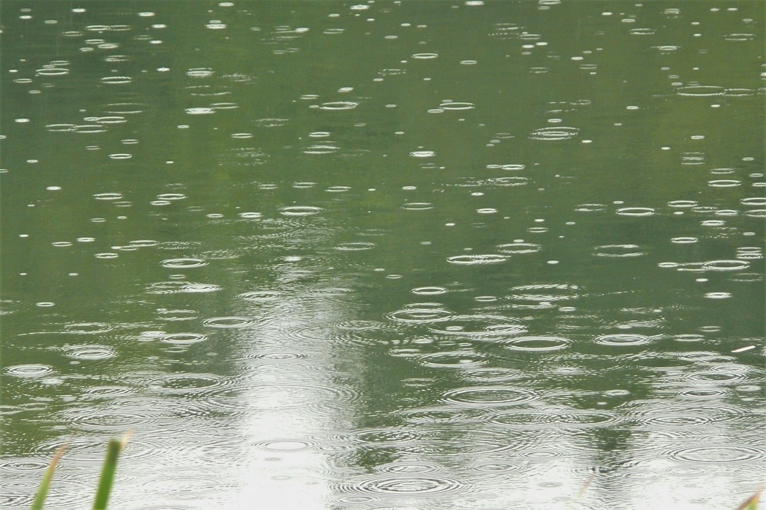 http://www.alpico.co.jp/shikinomori/news/images/P1240416.JPG