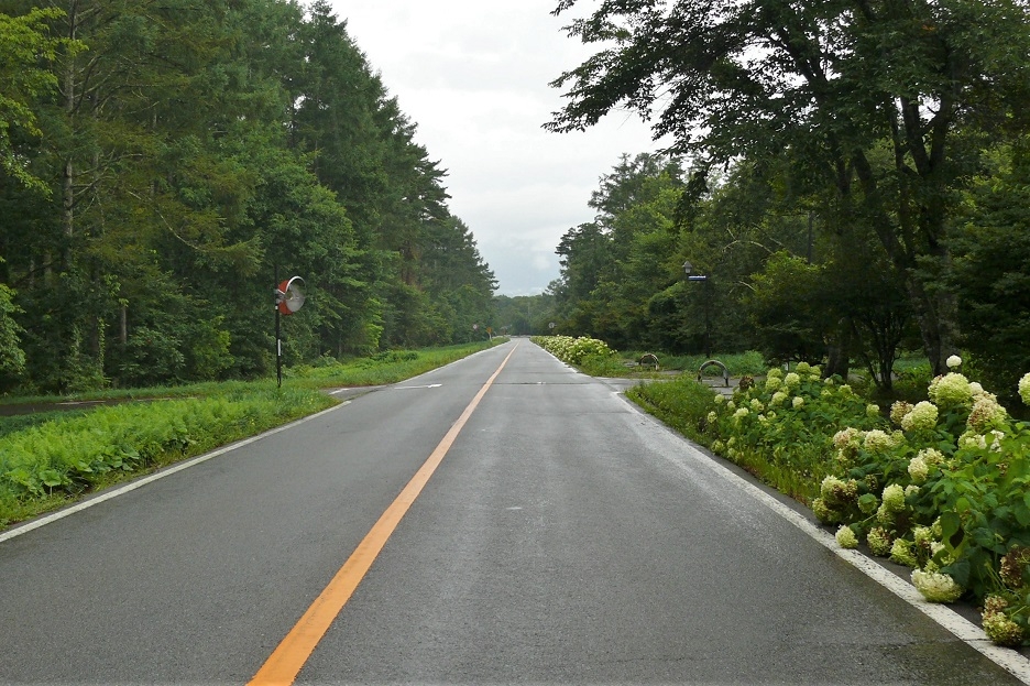 http://www.alpico.co.jp/shikinomori/news/images/P1240419.JPG