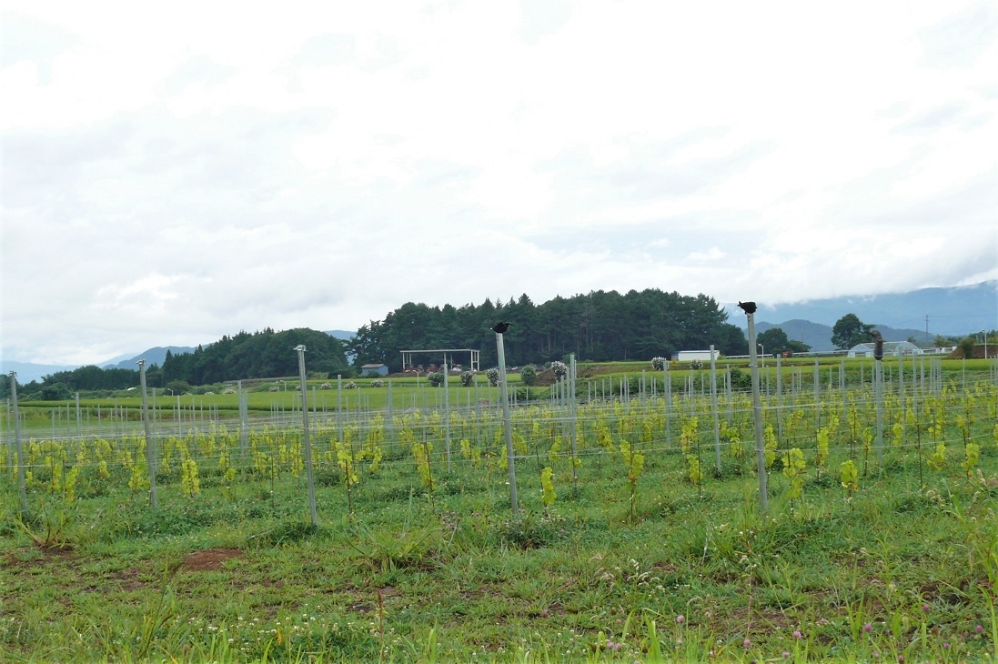 http://www.alpico.co.jp/shikinomori/news/images/P1240434.JPG