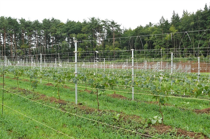 http://www.alpico.co.jp/shikinomori/news/images/P1240435.JPG
