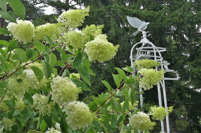 http://www.alpico.co.jp/shikinomori/news/images/P1240465.JPG