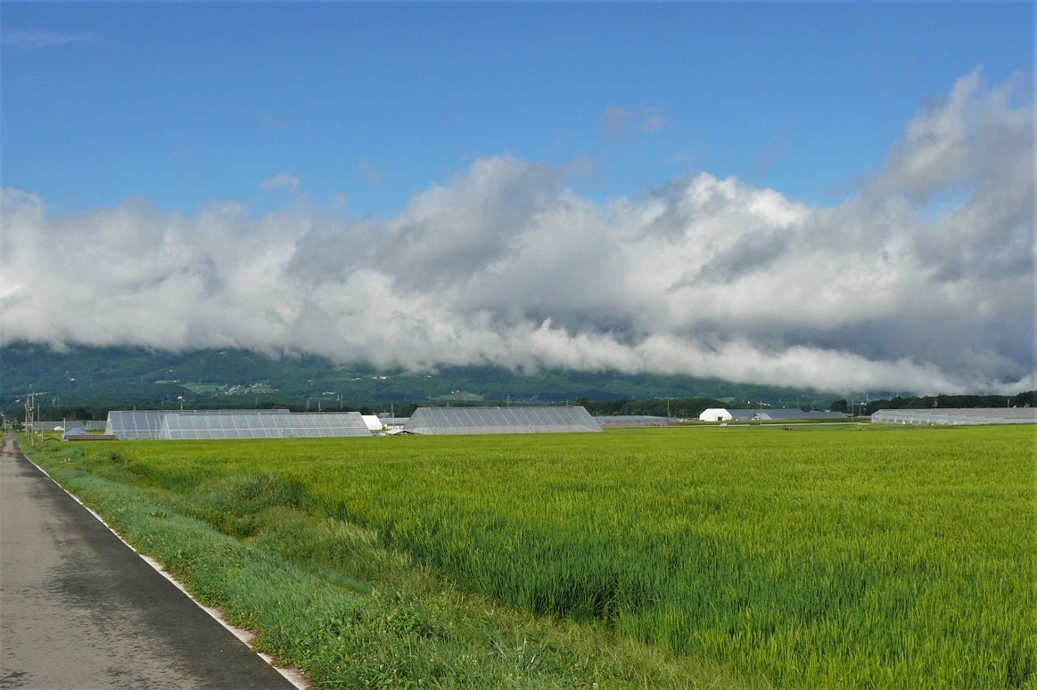 http://www.alpico.co.jp/shikinomori/news/images/P1240564.JPG
