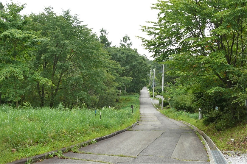 http://www.alpico.co.jp/shikinomori/news/images/P1240629.JPG