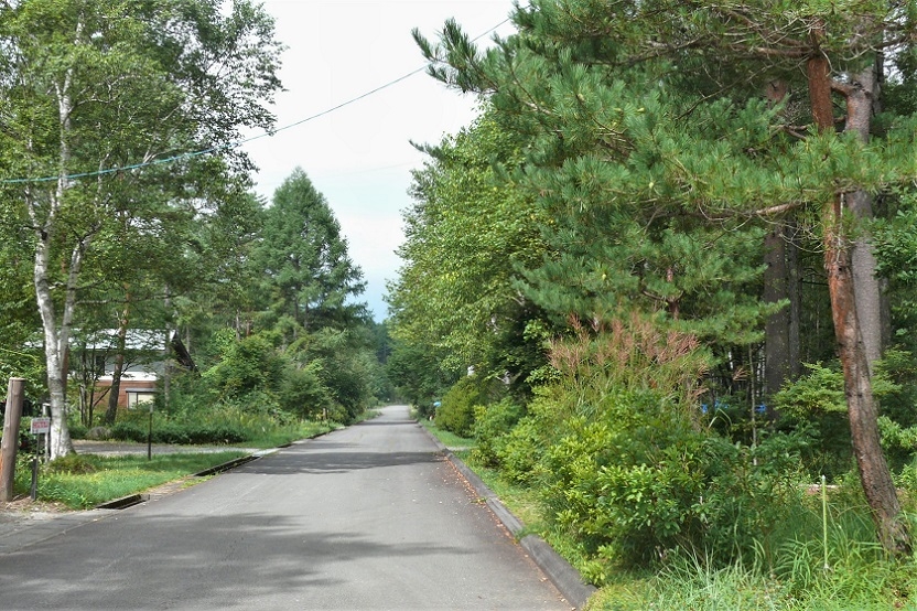 http://www.alpico.co.jp/shikinomori/news/images/P1240635.JPG