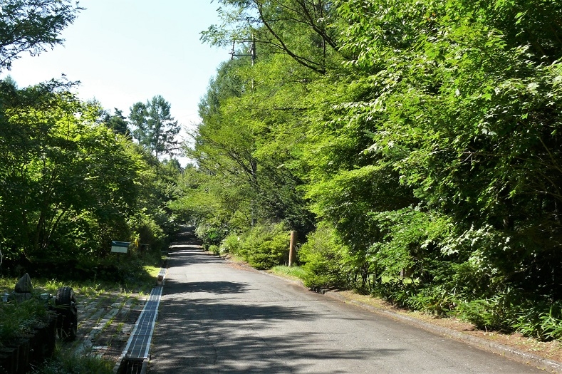 http://www.alpico.co.jp/shikinomori/news/images/P1240770.JPG