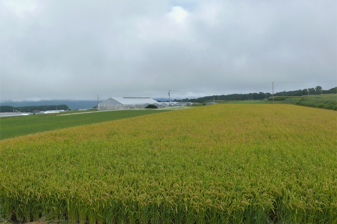 http://www.alpico.co.jp/shikinomori/news/images/P1240924.JPG