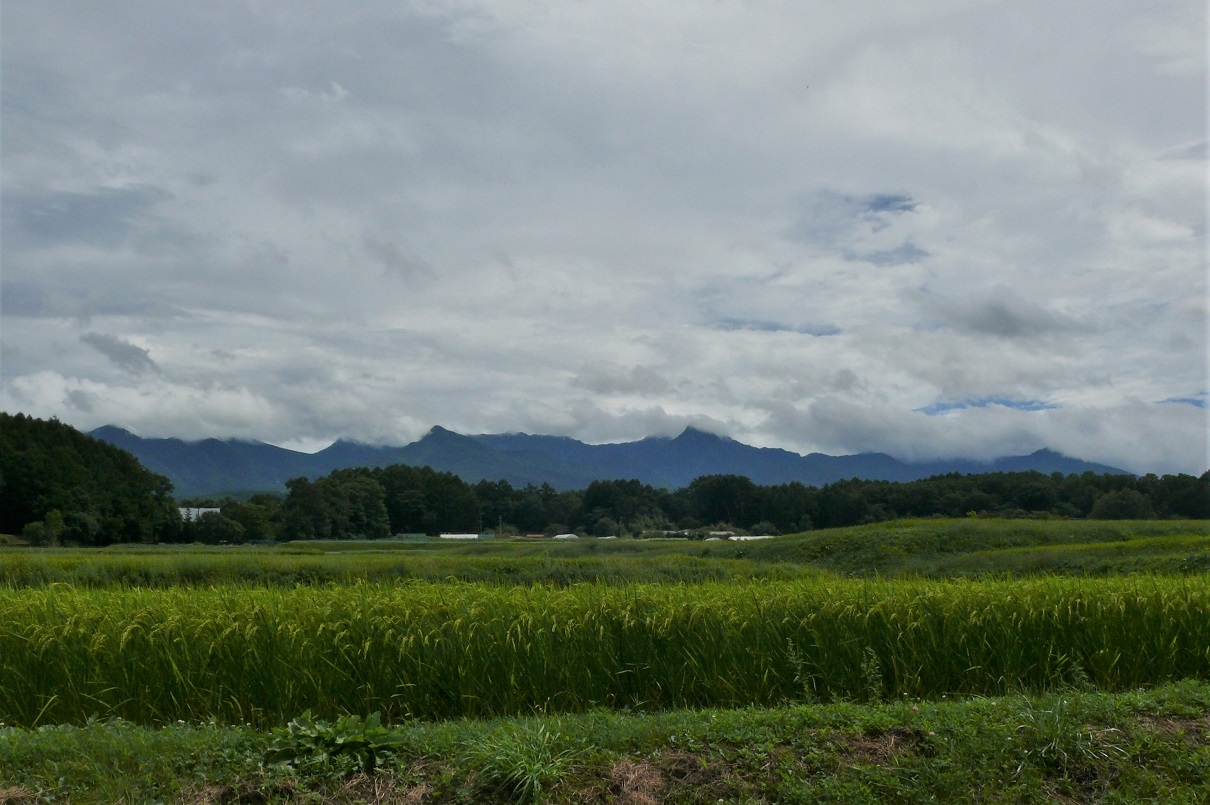 http://www.alpico.co.jp/shikinomori/news/images/P1240940.JPG
