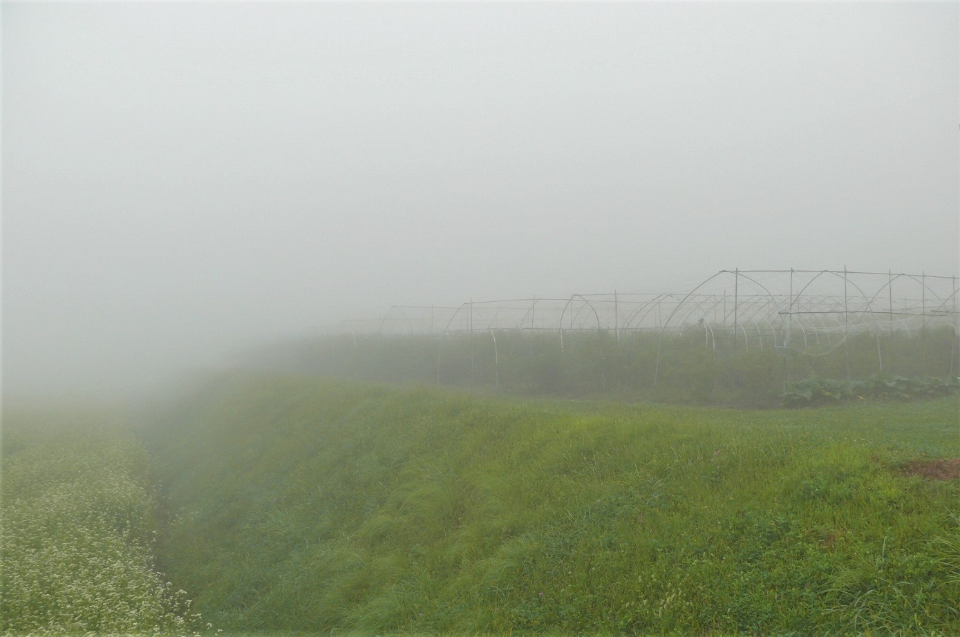 http://www.alpico.co.jp/shikinomori/news/images/P1250237.JPG
