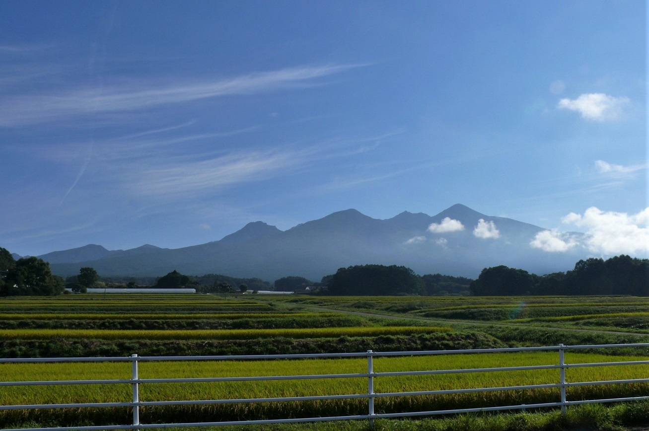 http://www.alpico.co.jp/shikinomori/news/images/P1250373.JPG