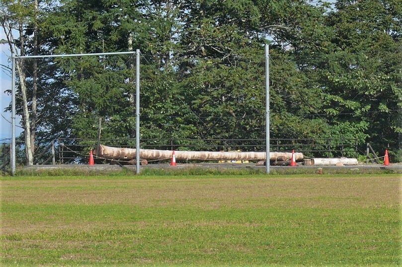 http://www.alpico.co.jp/shikinomori/news/images/P1250385.JPG