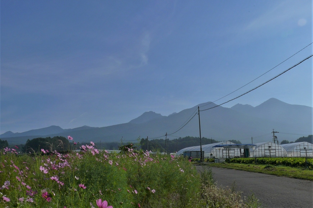 http://www.alpico.co.jp/shikinomori/news/images/P1250434.JPG