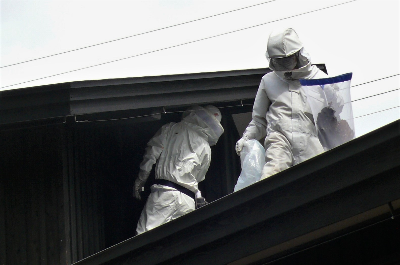 http://www.alpico.co.jp/shikinomori/news/images/P1250477.JPG