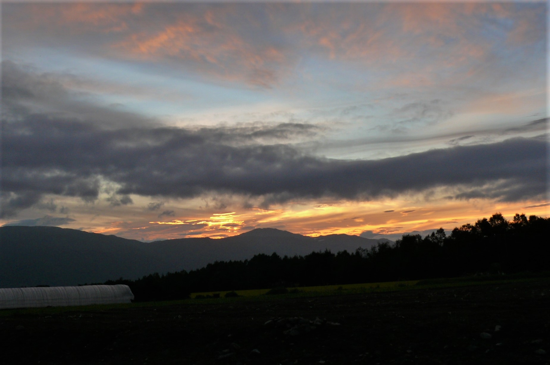 http://www.alpico.co.jp/shikinomori/news/images/P1250572.JPG