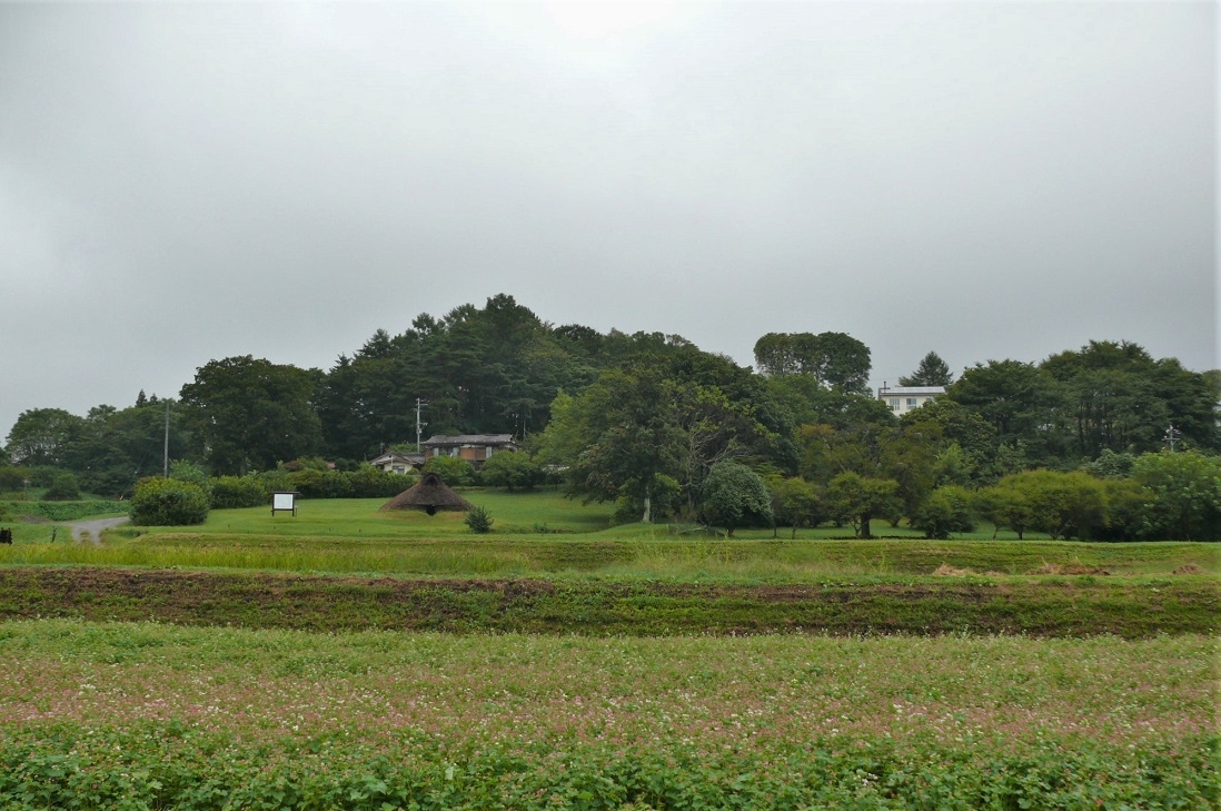 http://www.alpico.co.jp/shikinomori/news/images/P1250595.JPG