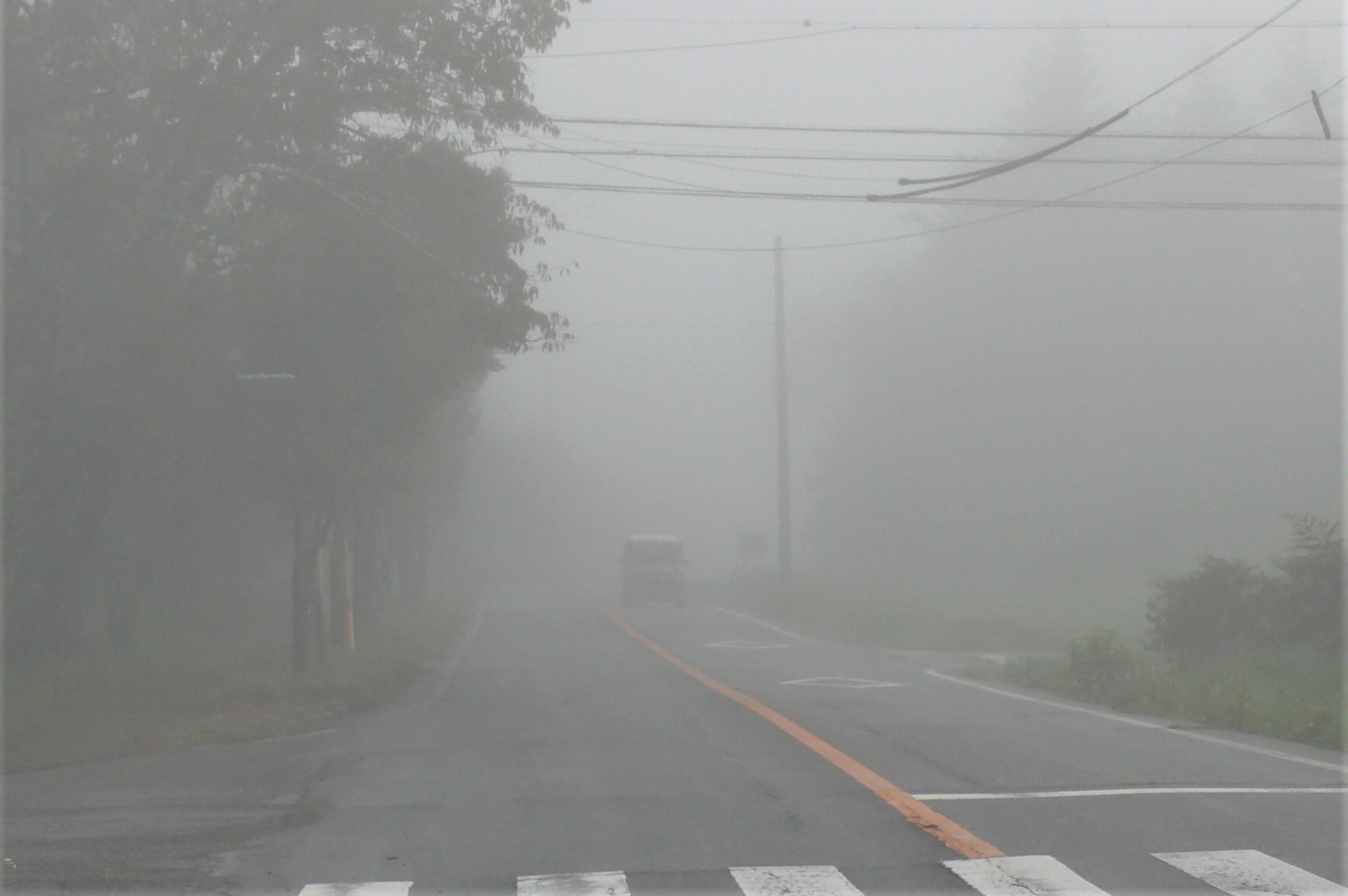 http://www.alpico.co.jp/shikinomori/news/images/P1250733.JPG