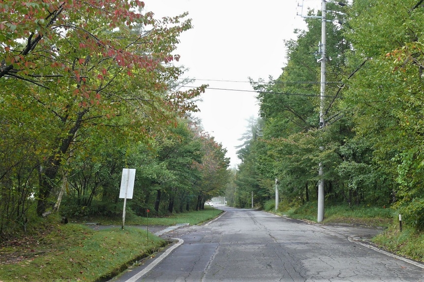 http://www.alpico.co.jp/shikinomori/news/images/P1250758.JPG