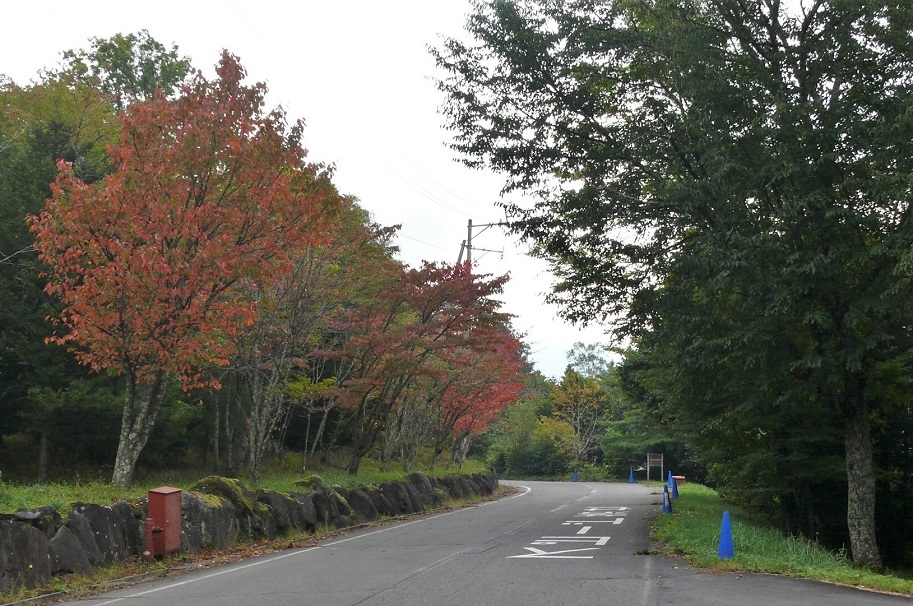 http://www.alpico.co.jp/shikinomori/news/images/P1250892.JPG