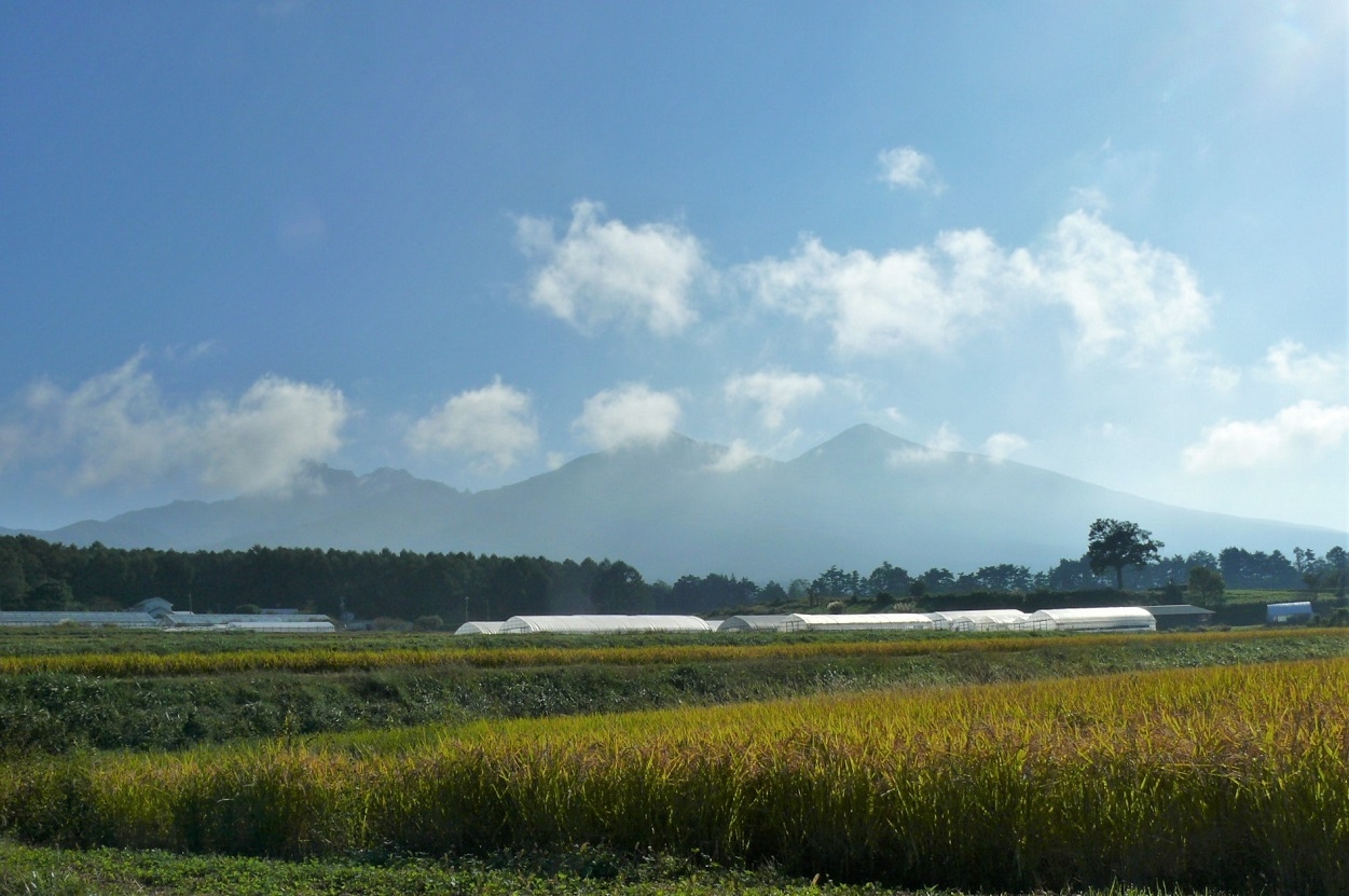 http://www.alpico.co.jp/shikinomori/news/images/P1260025.JPG