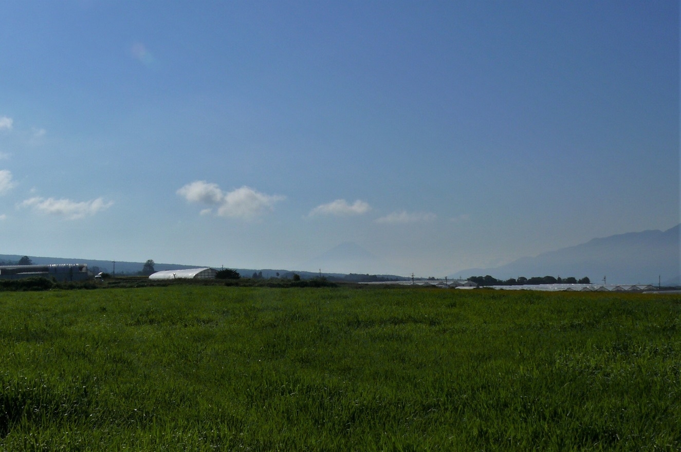 http://www.alpico.co.jp/shikinomori/news/images/P1260027.JPG