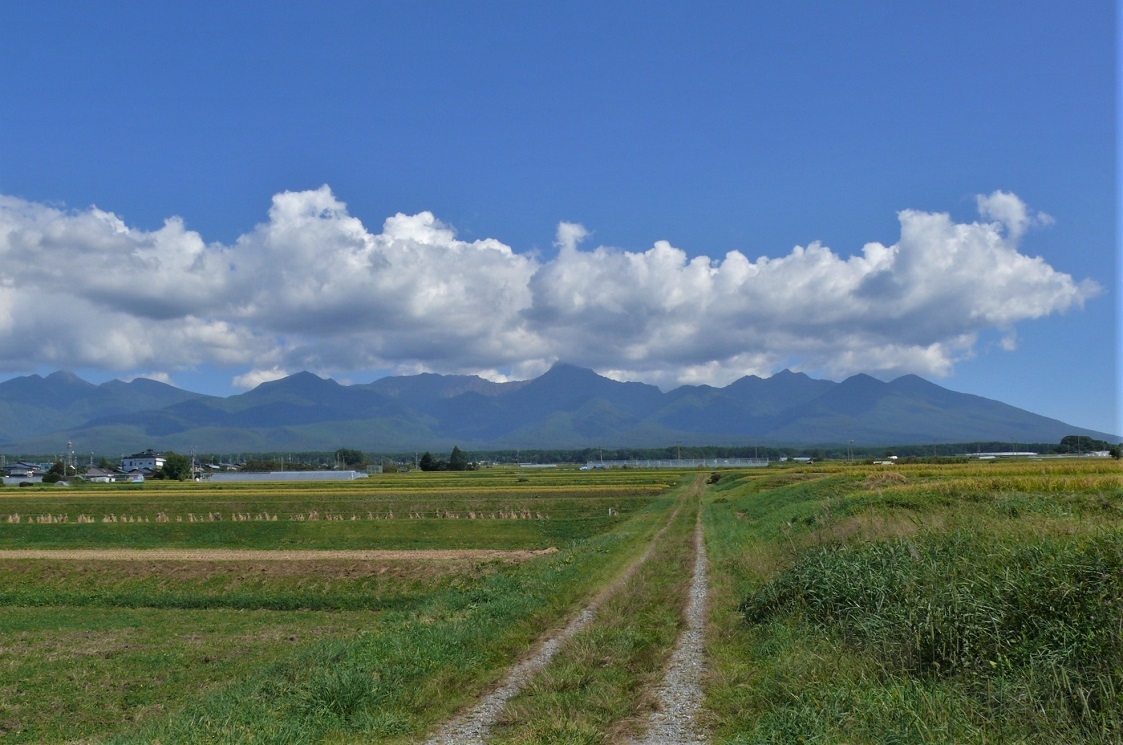 http://www.alpico.co.jp/shikinomori/news/images/P1260035.JPG