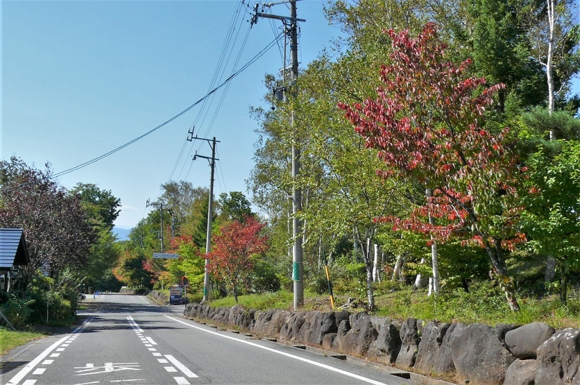 http://www.alpico.co.jp/shikinomori/news/images/P1260044.JPG