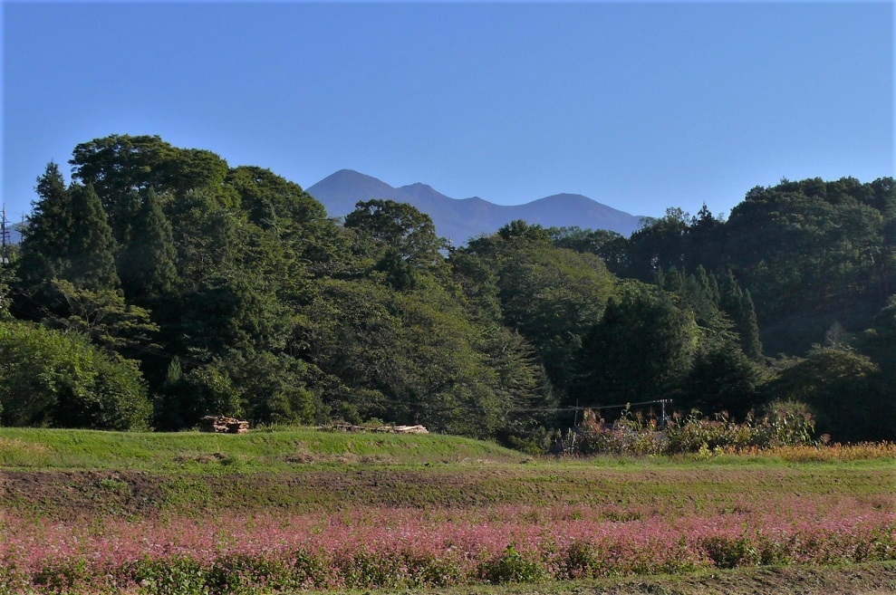 http://www.alpico.co.jp/shikinomori/news/images/P1260056.JPG