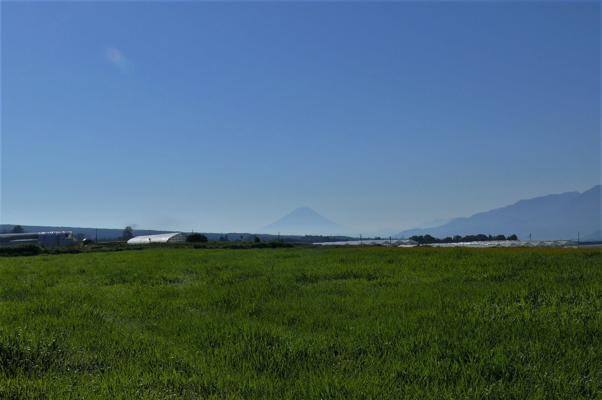 http://www.alpico.co.jp/shikinomori/news/images/P1260065.JPG