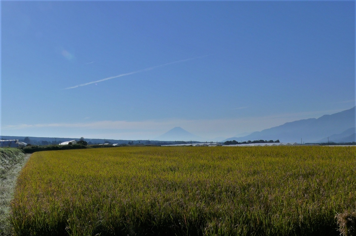 http://www.alpico.co.jp/shikinomori/news/images/P1260092.JPG