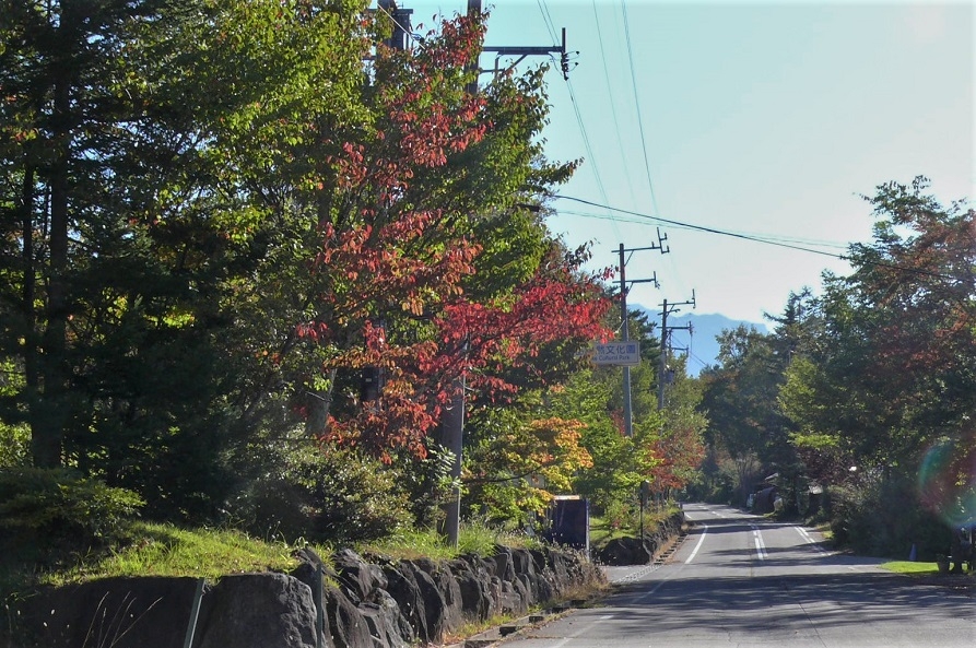 http://www.alpico.co.jp/shikinomori/news/images/P1260106.JPG