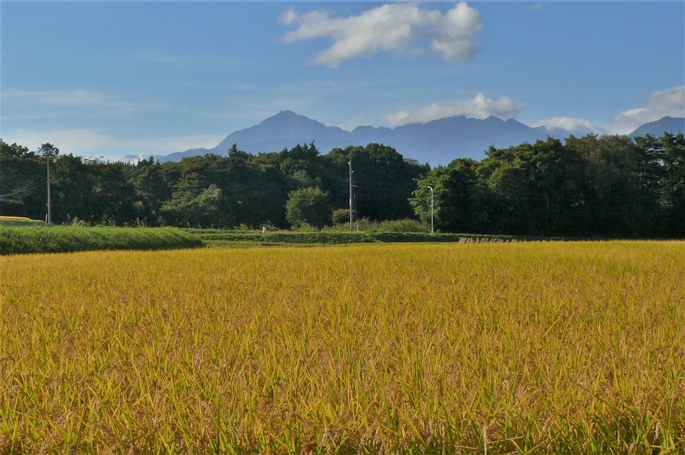 http://www.alpico.co.jp/shikinomori/news/images/P1260152.JPG