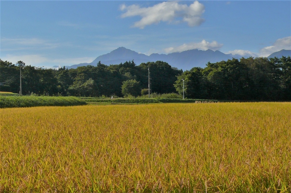 http://www.alpico.co.jp/shikinomori/news/images/P1260152.JPG