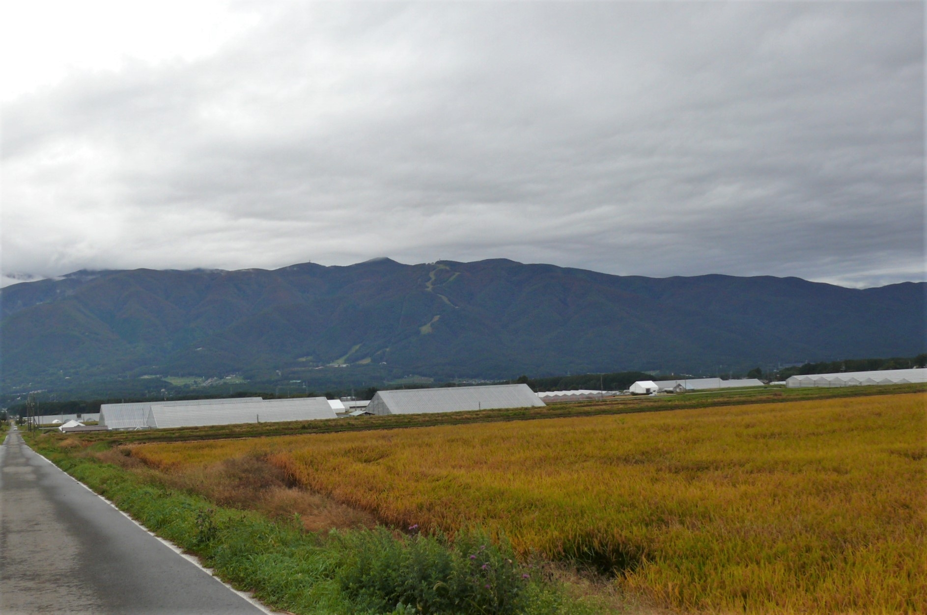 http://www.alpico.co.jp/shikinomori/news/images/P1260214.JPG