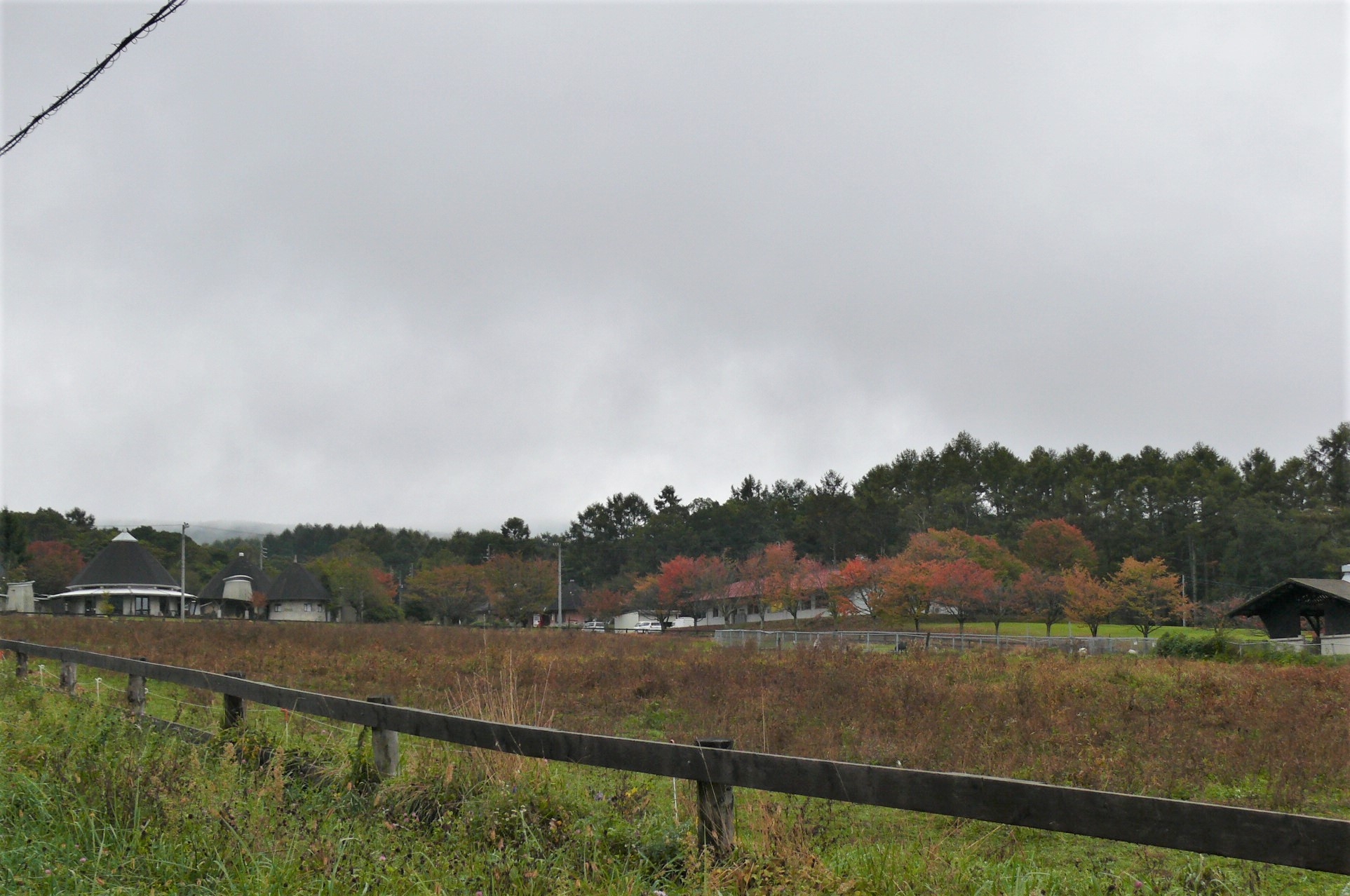 http://www.alpico.co.jp/shikinomori/news/images/P1260216.JPG