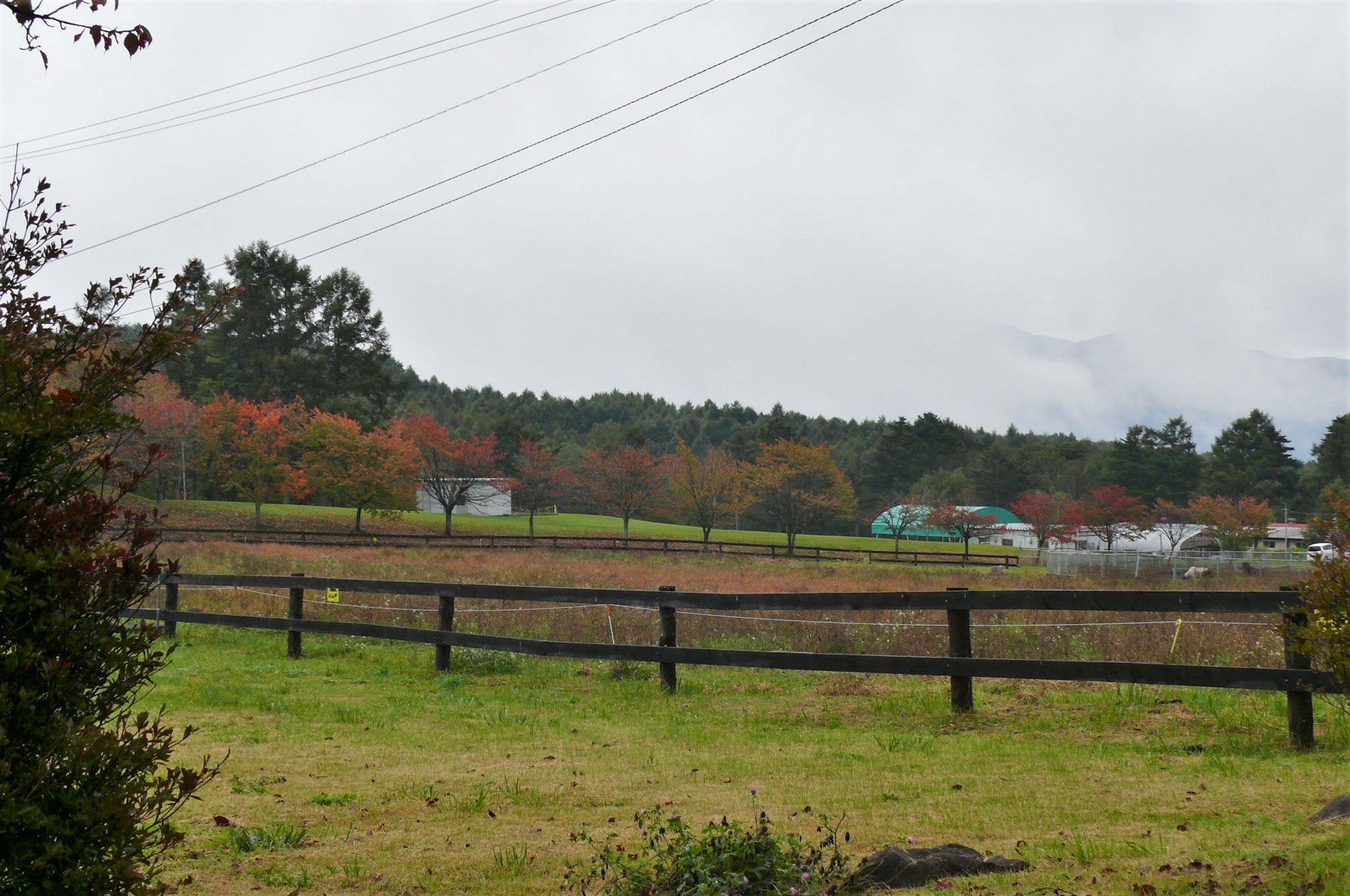 http://www.alpico.co.jp/shikinomori/news/images/P1260225.JPG