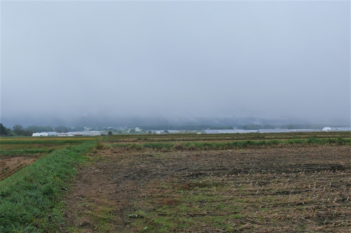 http://www.alpico.co.jp/shikinomori/news/images/P1260243.JPG
