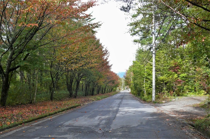 http://www.alpico.co.jp/shikinomori/news/images/P1260253.JPG