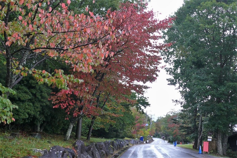 http://www.alpico.co.jp/shikinomori/news/images/P1260309.JPG